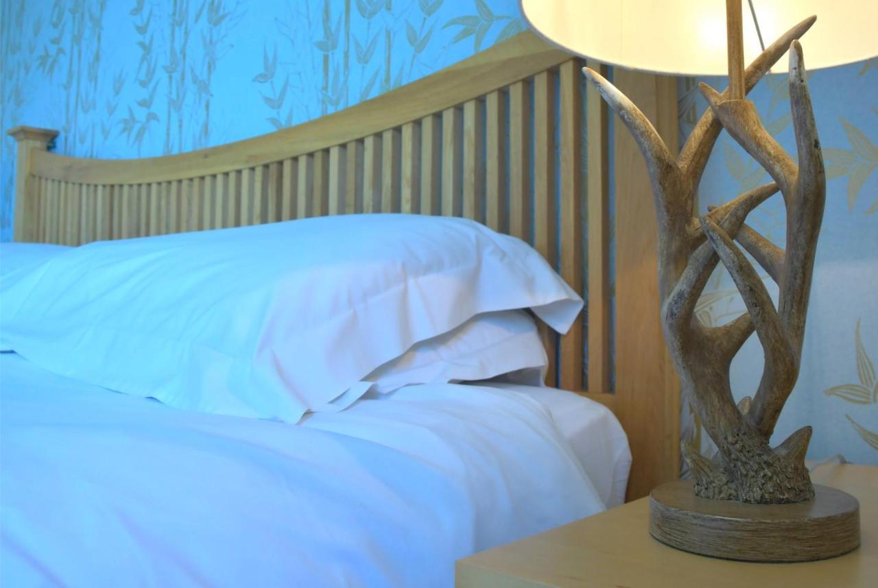 No12 Bed And Breakfast, St Andrews Kültér fotó