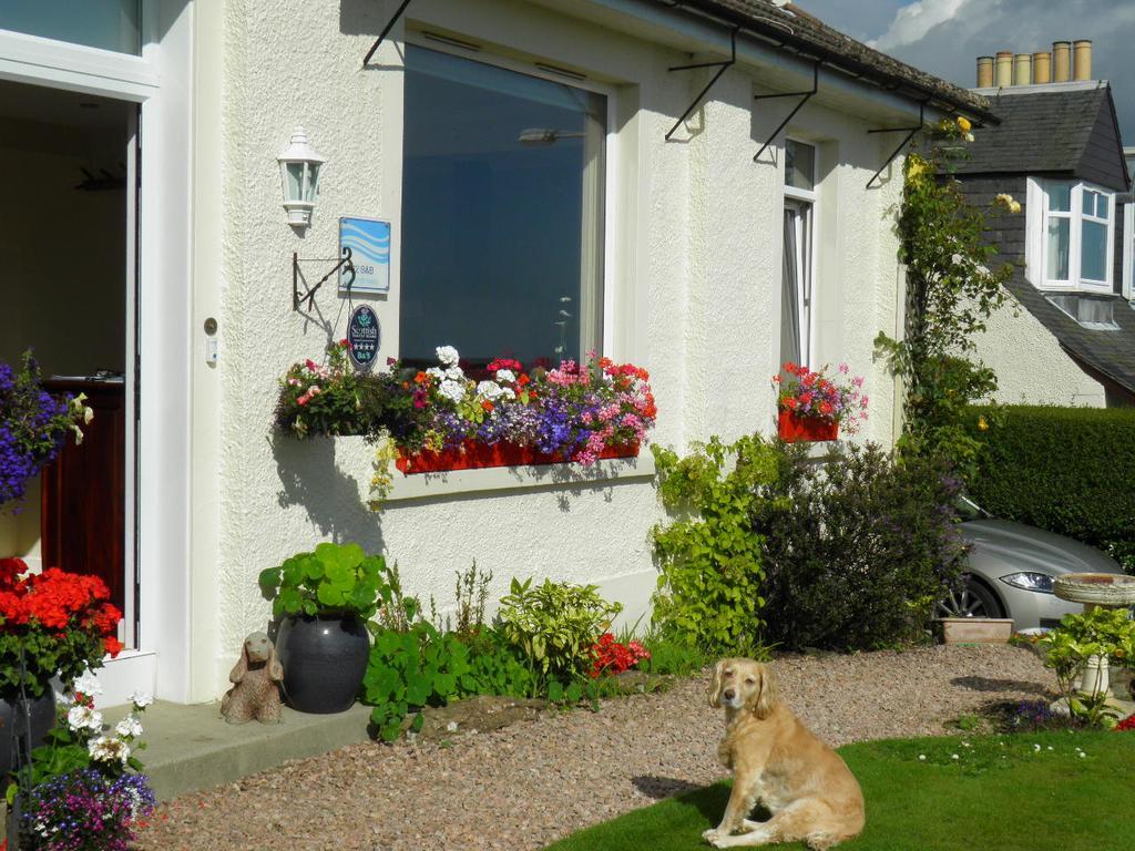 No12 Bed And Breakfast, St Andrews Kültér fotó